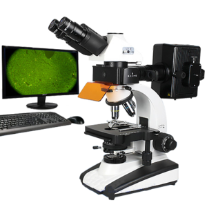 正置熒光顯微鏡